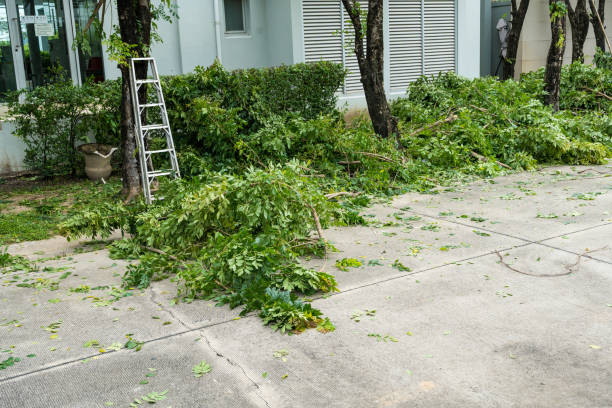 Best Tree Mulching  in Church Hill, PA